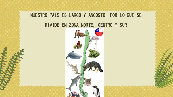 FAUNA CHILENA NT1 Y NT2
