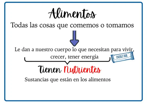 Resumen de Ciencias naturales Nutrientes