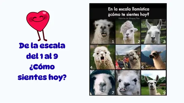 Presentación de los huesos y los músculos segundo básico