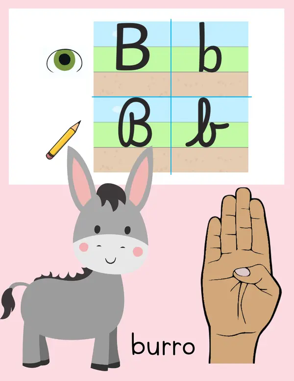 Abecedario de animales imprenta y manuscrita + LSCH