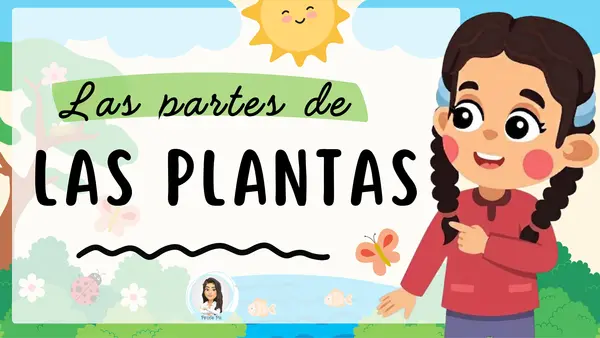 Partes de las plantas y su función