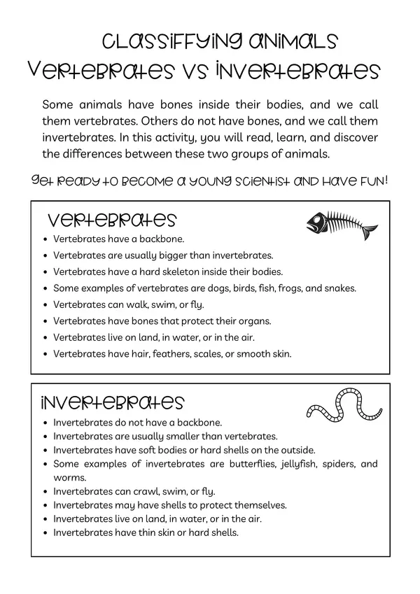 Comparing Vertebrates and Invertebrates – 2nd Grade