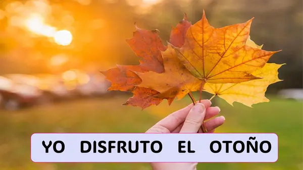 CONTEO PALABRAS