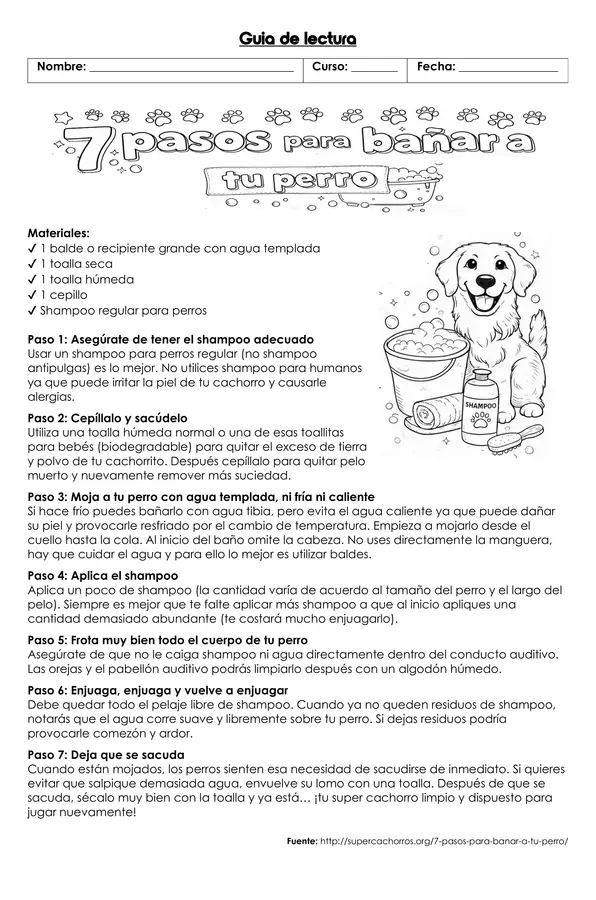 comprensión e lectura