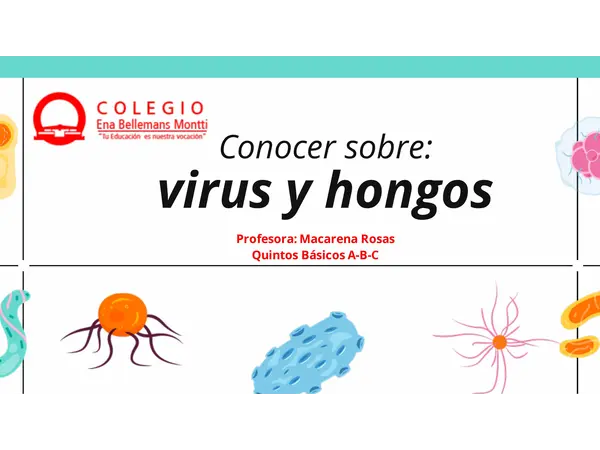 VIRUS Y HONGOS