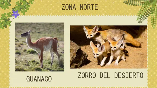FAUNA CHILENA NT1 Y NT2