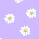 lalas - @lala.co