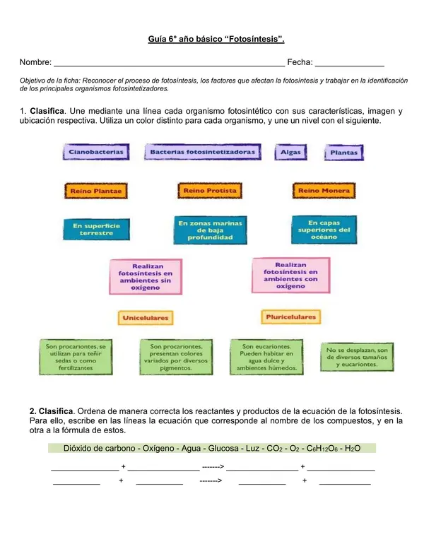 Guía de ciencias 6°año "Fotosíntesis"