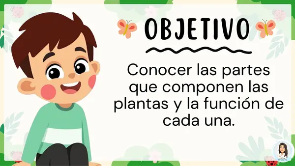 Partes de las plantas y su función