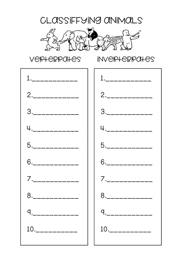 Comparing Vertebrates and Invertebrates – 2nd Grade