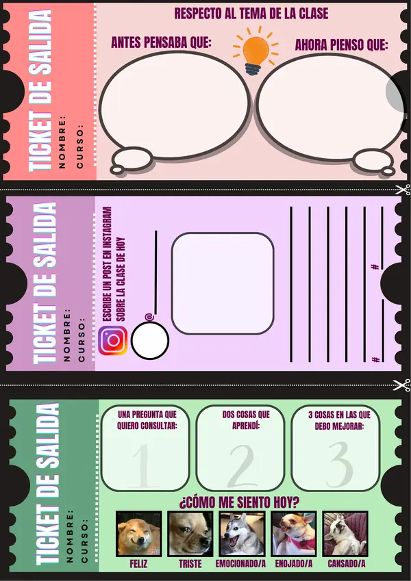 Ticket de Salida de Metacognición