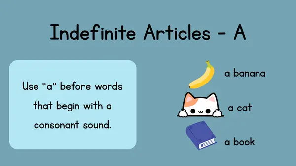 Articles A - AN - THE
