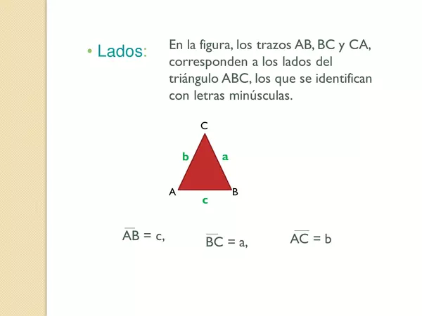 Triángulos y sus características