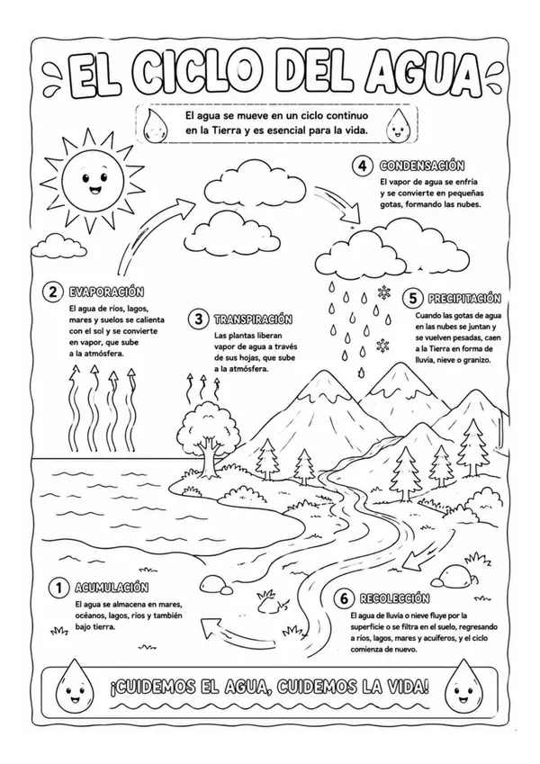 El Ciclo del Agua para Colorear | Póster Educativo de Ciencias