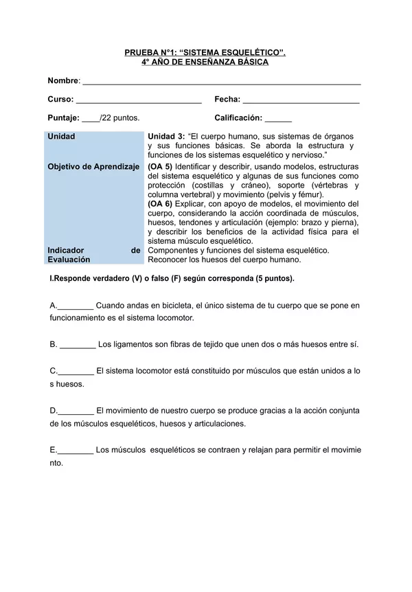 Prueba Sistema Esqueletico, Cuarto Basico, Ciencias Naturales