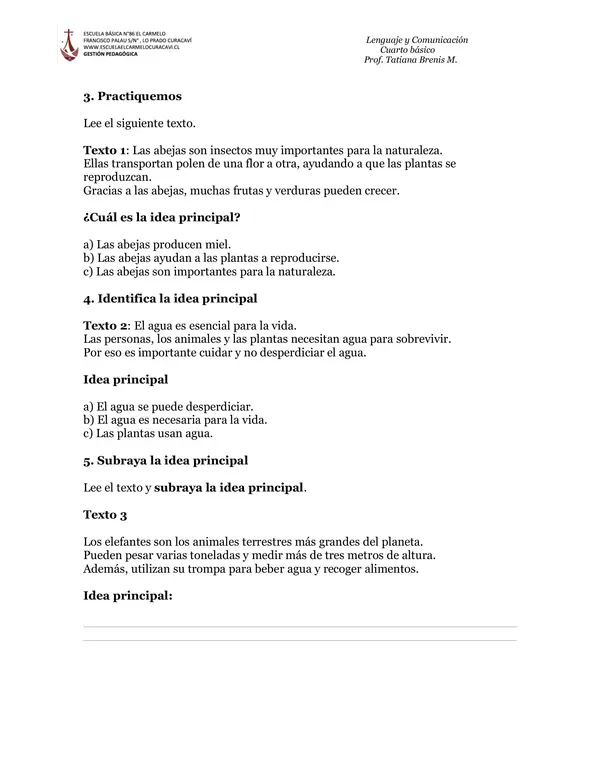 idea principal de un texto
