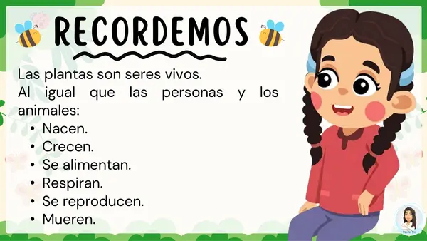 Partes de las plantas y su función