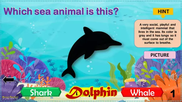 Game: Sea Animals (30-question template)