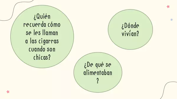 Clase 04, Leo Primero 2° básico