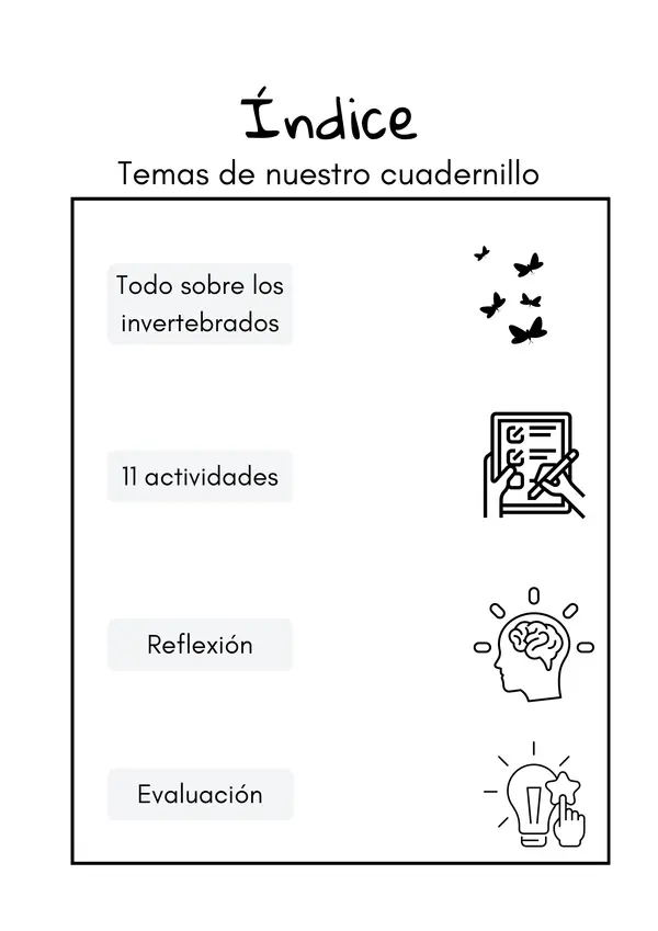 Invertebrados