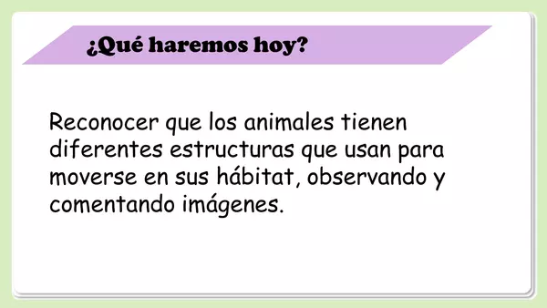 Cómo se desplazan los animales
