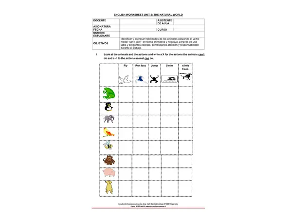 MODAL VERB CAN (ANIMALS) - 3° GRADE