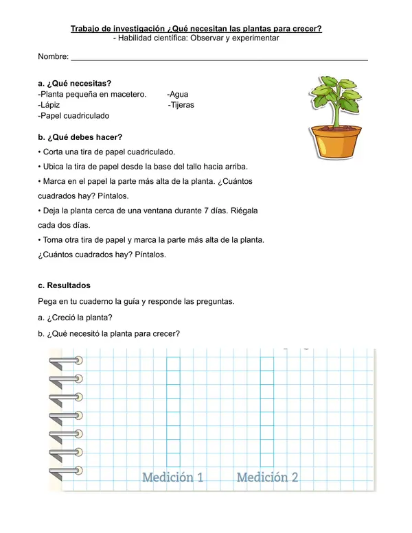 Actividades experimento unidad "Las Plantas" 1° básico