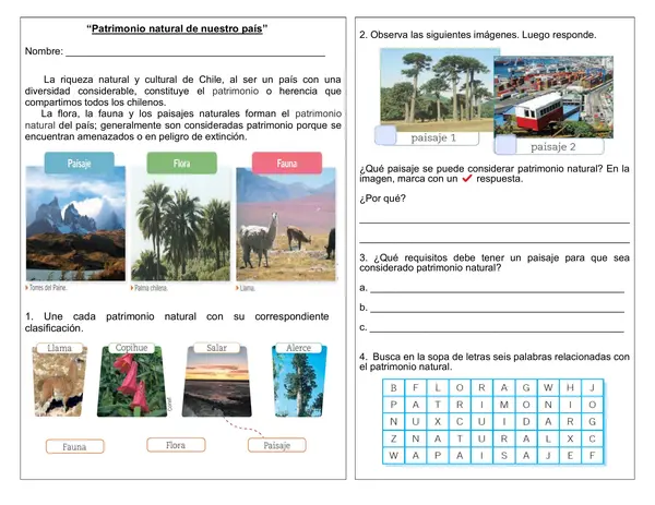 Guía de historia 2° año "Patrimonio Natural de nuestro país"