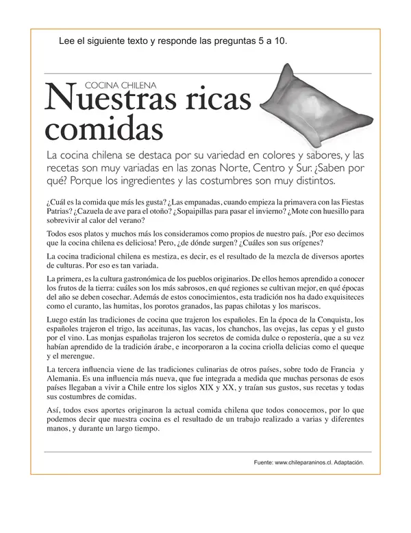 Ensayo Simce n°2 - 6°to Básico - Lenguaje y Comunicación.