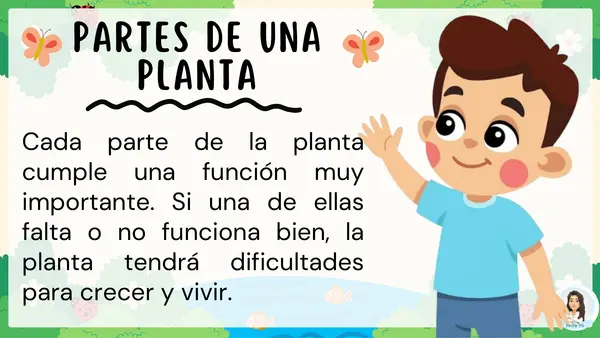 Partes de las plantas y su función