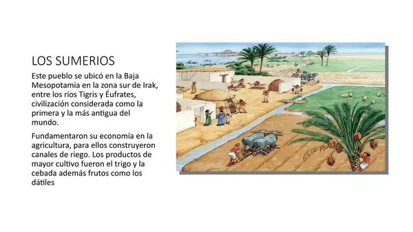 Presentacion Sociedades Agicolas, Septimo Basico