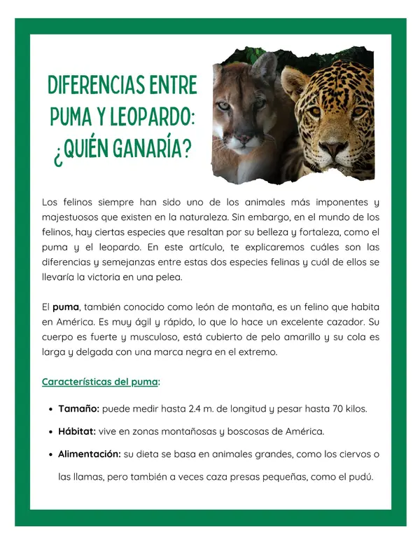 Comprensión lectora: Artículo informativo - Diferencias entre puma y leopardo