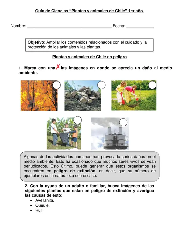 Guía de Ciencias Primer año "Plantas y animales de Chile".