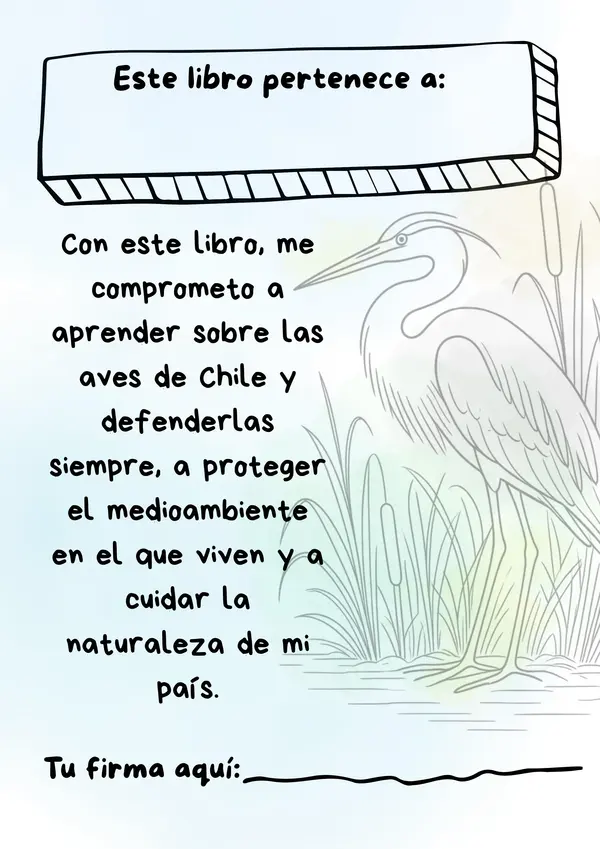 Ilustraciones coloreables Aves de Chile