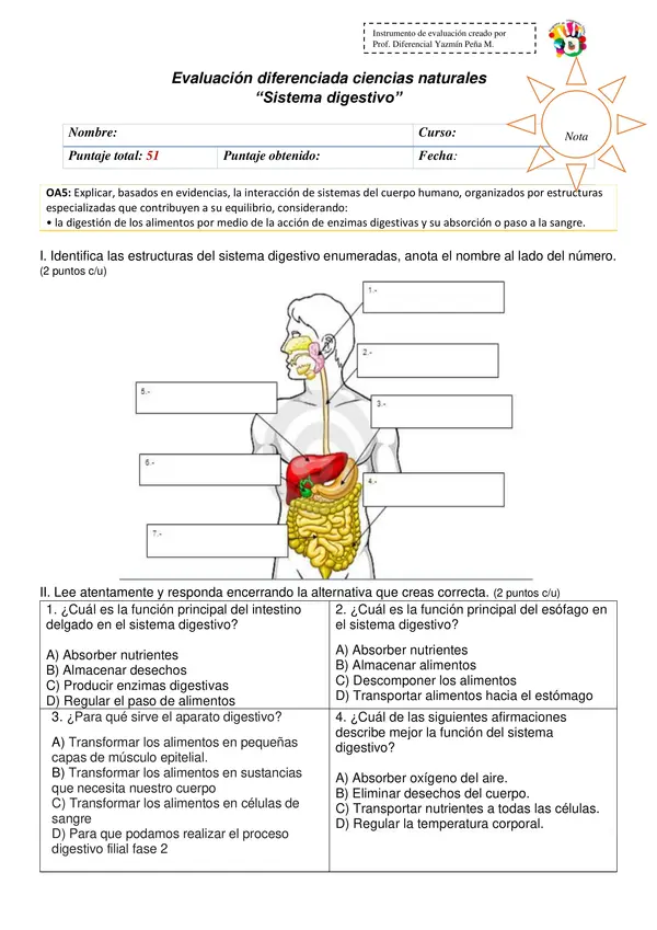 Evaluación diferenciada "Sistema digestivo"