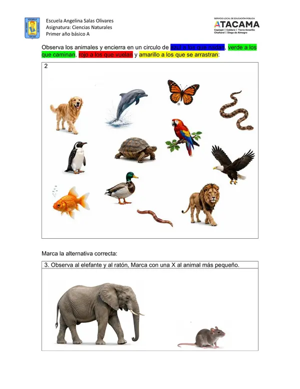 Caracteristicas de los animales