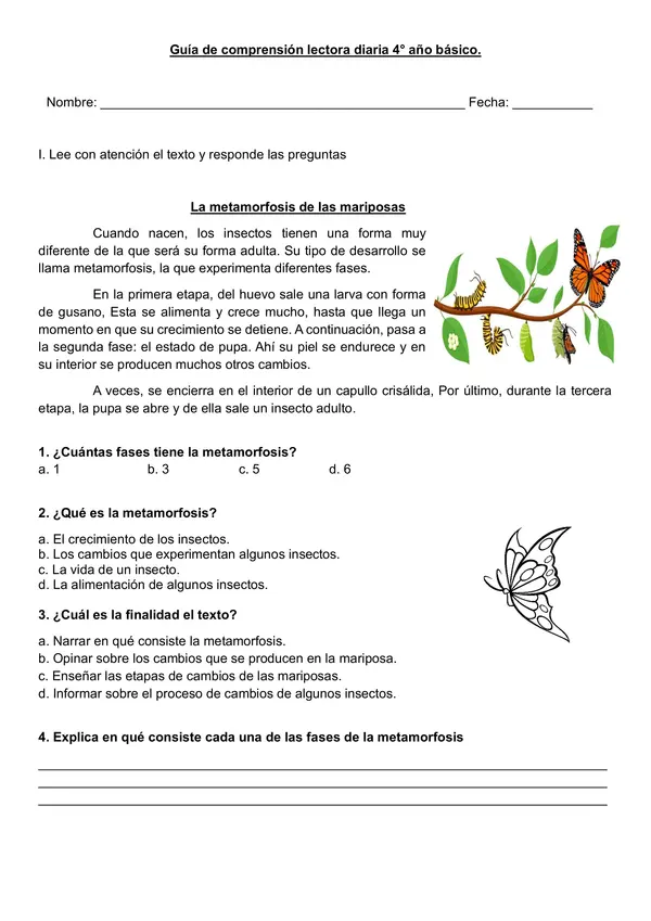 Guía de comprensión lectora diaria 4° año básico "Metamorfosis"