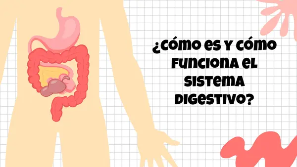Sistema digestivo y circulatorio