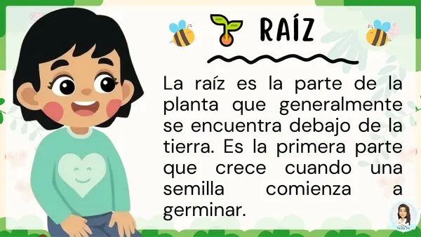 Partes de las plantas y su función