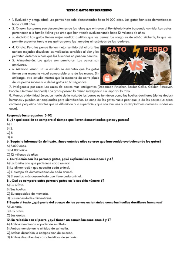 Ensayo Simce- Lenguaje 6.º Básico