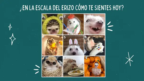 Titulares informativos y sensacionalistas 