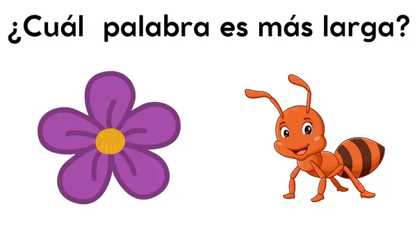 PALABRAS CORTAS Y LARGAS NIVEL AVANZADO