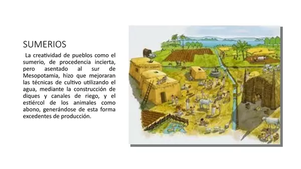 Presentacion Sociedades Agicolas, Septimo Basico
