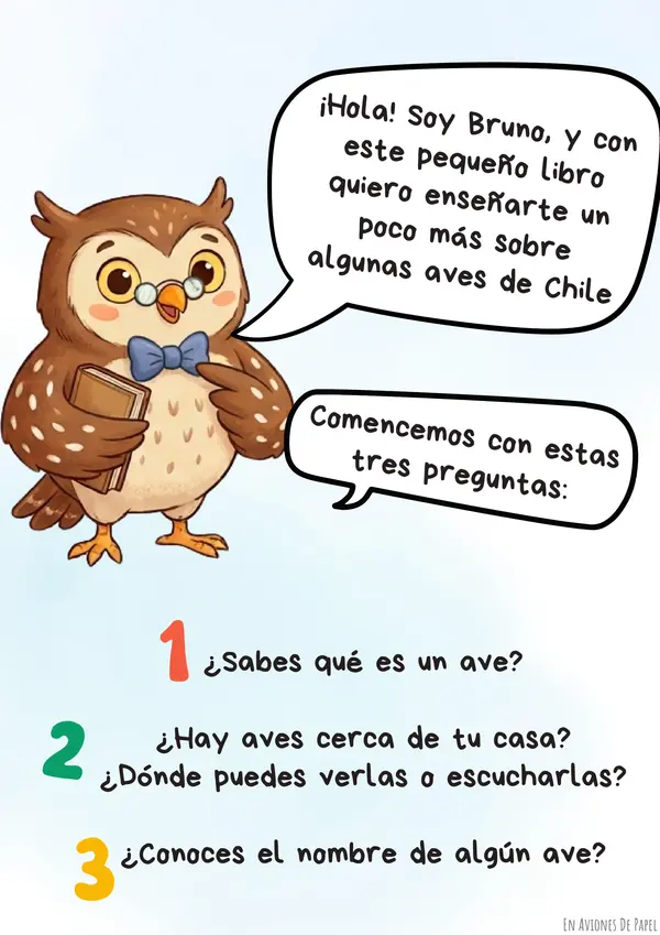 Ilustraciones coloreables Aves de Chile