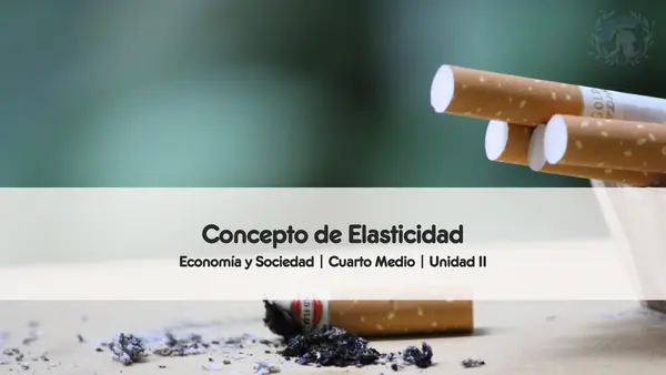 Concepto de Elasticidad | Economía y Sociedad