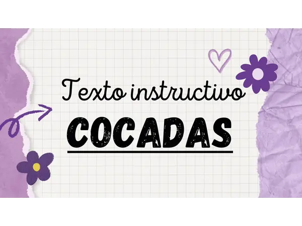 TEXTO INSTRUCTIVO: COCADAS