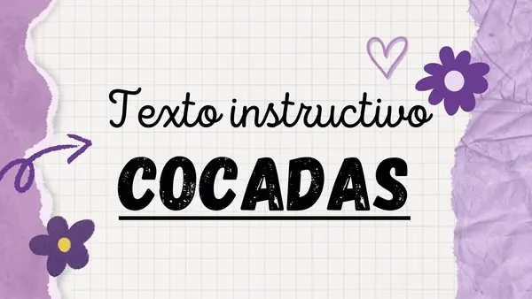 TEXTO INSTRUCTIVO: COCADAS