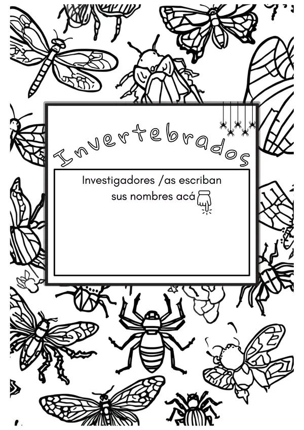 Invertebrados