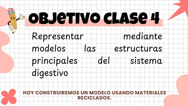Sistema digestivo y circulatorio