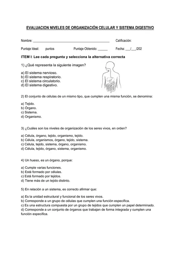 Evaluación niveles de organización celular y sistema digestivo 